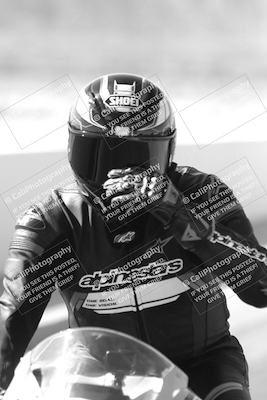 media/Mar-08-2025-TrackXperience (Sat) [[277b597a28]]/1-Around the Pits - Pre Grid/